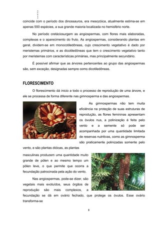 .....
3
coincide com o período dos dinossauros, era mesozóica, atualmente estima-se em
apenas 550 espécies, a sua grande maioria localizada no hemisfério norte.
No período cretáciosurgem as angiospermas, com flores mais elaboradas,
complexas e o aparecimento do fruto. As angiospermas, considerando plantas em
geral, dividem-se em monocotiledôneas, cujo crescimento vegetativo é dado por
meristemas primários, e as dicotiledôneas que tem o crescimento vegetativo tanto
por meristemas com características primárias, mas principalmente secundário.
É possível afirmar que as árvores pertencentes ao grupo das angiospermas
são, sem exceção, designadas sempre como dicotiledôneas.
FLORESCIMENTO
O florescimento dá inicio a todo o processo de reprodução de uma árvore, e
ele se processa de forma diferente nas gimnosperma e das angiospermas.
As gimnospermas não tem muita
eficiência na proteção de suas estruturas de
reprodução, as flores femininas apresentam
os óvulos nus, a polinização é feita pelo
vento e a semente só pode ser
acompanhada por uma quantidade limitada
de reservas nutritivas, como as gimnosperma
são praticamente polinizadas somente pelo
vento, e são plantas dióicas, as plantas
masculinas produzem uma quantidade muito
grande de pólen e ao mesmo tempo um
pólen leve, o que permite que ocorra a
fecundação patrocinada pela ação do vento.
Nas angiospermas, pode-se dizer, são
vegetais mais evoluídos, seus órgãos de
reprodução são mais complexos, a
fecundação se dá em ovário fechado, que protege os óvulos. Esse ovário
transforma-se
 