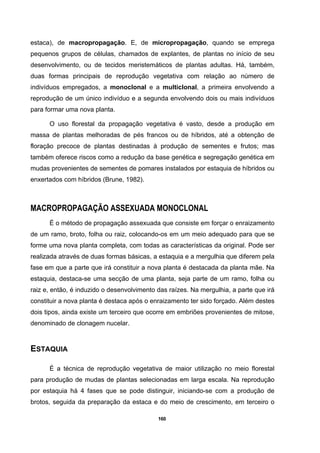160
estaca), de macropropagação. E, de micropropagação, quando se emprega
pequenos grupos de células, chamados de explantes, de plantas no início de seu
desenvolvimento, ou de tecidos meristemáticos de plantas adultas. Há, também,
duas formas principais de reprodução vegetativa com relação ao número de
indivíduos empregados, a monoclonal e a multiclonal, a primeira envolvendo a
reprodução de um único indivíduo e a segunda envolvendo dois ou mais indivíduos
para formar uma nova planta.
O uso florestal da propagação vegetativa é vasto, desde a produção em
massa de plantas melhoradas de pés francos ou de híbridos, até a obtenção de
floração precoce de plantas destinadas à produção de sementes e frutos; mas
também oferece riscos como a redução da base genética e segregação genética em
mudas provenientes de sementes de pomares instalados por estaquia de híbridos ou
enxertados com híbridos (Brune, 1982).
MACROPROPAGAÇÃO ASSEXUADA MONOCLONAL
É o método de propagação assexuada que consiste em forçar o enraizamento
de um ramo, broto, folha ou raiz, colocando-os em um meio adequado para que se
forme uma nova planta completa, com todas as características da original. Pode ser
realizada através de duas formas básicas, a estaquia e a mergulhia que diferem pela
fase em que a parte que irá constituir a nova planta é destacada da planta mãe. Na
estaquia, destaca-se uma secção de uma planta, seja parte de um ramo, folha ou
raiz e, então, é induzido o desenvolvimento das raízes. Na mergulhia, a parte que irá
constituir a nova planta é destaca após o enraizamento ter sido forçado. Além destes
dois tipos, ainda existe um terceiro que ocorre em embriões provenientes de mitose,
denominado de clonagem nucelar.
ESTAQUIA
É a técnica de reprodução vegetativa de maior utilização no meio florestal
para produção de mudas de plantas selecionadas em larga escala. Na reprodução
por estaquia há 4 fases que se pode distinguir, iniciando-se com a produção de
brotos, seguida da preparação da estaca e do meio de crescimento, em terceiro o
 