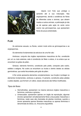 4
depois num fruto que protege a
semente até à sua maturação. Nas
angiospermas, devido a existência de flores
de diferentes cores e aromas, que atraem
insetos e outros animais, a polinização já não
se dá apenas pela ação do vento como
ocorre nas gimnospermas, que apresentam
flores de pouca atratividade.
FLOR
As estruturas sexuais, ou florais, variam muito entre as gimnospermas e as
angiospermas.
Os elementos fundamentais da estrutura de uma flor são:
Androceu: conjunto dos órgãos reprodutores masculinos da flor, constituído
por um ou mais estames, este é constituído de filete e antera, é na antera que se
encontram os grãos de pólen.
Gineceu: elemento feminino, constituído pelo pistilo, composto pelo ovário,
estilete e estigma. No ovário se encontram os óvulos e dentro destes as células
germinativas, que serão fecundadas pelo grão de pólen.
A flor ainda apresenta elementos complementares: sua função é proteger os
elementos fundamentais, androceu e gineceu. O perianto, constituído pelas pétalas
e pelas sépalas, que formam um cálice, essas estruturas são folhas modificadas.
Tipos de flores
Hermafroditas, apresentam na mesma estrutura órgãos masculinos e
femininos, androceu e gineceu;
Unisexuadas: apresentam apenas um órgão de reprodução, algumas
árvores apresentam simultaneamente flores unisuxuadas masculinas e
femininas, neste caso são chamadas de plantas monóicas, quando a
árvore apresenta apenas florestas masculinas ou apenas femininas é
denominada de dióica, ex. Araucaria angustifolia.
 