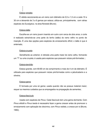 .....
167
Estaca simples
É obtida seccionando-se um ramo com diâmetro de 0,5 a 1,5 cm a cada 10 a
30 cm e deixando de 3 a 6 gemas por estaca; utiliza-se, principalmente, com várias
espécies de Eucalyptus, na área florestal (Brune).
Estaca-talão
Escolhe-se um ramo jovem inserido em outro com cerca de dois anos; o corte
é realizado extraíndo-se uma parte do lenho (talão) do ramo velho no ponto de
inserção. É uma das opções para espécies de enraizamento difícil; o talão é que é
enterrado;
Estaca-cruzeta
Semelhante ao anterior; é retirada uma parte maior do ramo velho, formando
um “T” ou uma cruzeta; é usada para espécies que possuem raízes pré-formadas; ;
Estaca-tanchão
Estaca grande, com 60-80 cm de comprimento e mais de 4 cm de diâmetro. É
utilizada para espécies que possuem raízes pré-formadas como a jabuticabeira e a
oliveira;
Estaca-gema
É formada por uma só gema; usada quando não se possue material maior;
requer os mesmos cuidados que os empregados na propagação de sementes;
Estaca-fascículo
Usada com espécies de Pinus. Cada fascículo tem uma gema dormente. Com
Pinus elliottii e Pinus taeda é necessário fazer a gema crescer antes de promover o
enraizamento com aplicação de citocinina, com Pinus radiata, a cresce por si (Brune,
1982).
 