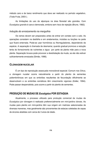 170
método caro e de baixo rendimento que deve ser realizado no período vegetativo.
(Toda Fruta, 2003 ).
As limitações do uso da alporquia na área florestal são grandes. Com
Eucalyptus grandis é cara e demorada, embora sem risco de rejeição (Brune, 1982).
Indução do enraizamento na mergulhia
Os ramos devem ser preparados antes de entrar em contato com o solo. As
operações consistem na desfolha e em anelamentos, incisões ou torções na parte
que ficará enterrada. Pode-se usar hormônios ou fitorreguladores, dependendo da
espécie. A separação é chamada de desmame; quando gradual promove a redução
lenta do fornecimento de nutrientes e água por parte da planta mãe para a nova
planta. Separação brusca pode provocar a desidratação da muda, se ela não estiver
suficientemente enraizada (Simão, 1998).
CLONAGEM NUCELAR
É um tipo de reprodução assexuada monoclonal especial. Comum nos Citrus,
a clonagem nucelar ocorre naturalmente a partir do plantio de sementes
poliembriônicas em que os embriões resultantes de fecundação dificilmente se
desenvolvem e os embriões somáticos têm crescimento vigoroso (Koller, 1994).
Pode passar despercebida, pois ocorre a partir do plantio de sementes.
PRODUÇÃO DE MUDAS DE Eucalyptus POR ESTAQUIA
Atualmente, o processo utilizado para produção comercial de mudas de
Eucalyptus por clonagem é realizado preferencialmente em mini-jardins clonais. As
mudas para plantio em mini-jardins têm sua origem em matrizes selecionadas de
diversas maneiras, mas geralmente são provenientes de estacas coletadas de cepas
de árvores abatidas com cerca de 3 anos de idade.
 