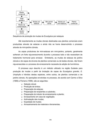 .....
171
Plantio
comercial
Teste
genético
Jardim
clonal
Plantio de
comprovação
Mini-jardim
clonal
Mudas por
estacas
Mudas por
mini-estacas
Plantio
comercial
Sequência de produção de mudas de Eucalyptus por estaquia
Até recentemente as mudas clonais destinadas aos plantios comerciais eram
produzidas através de estacas e ainda não se havia desenvolvido o processo
através de mini-jardins clonais.
As cepas produtoras de mini-estacas em mini-jardins, portanto, geralmente
sofreram um forte rejuvenescimento durante o processo todo e não necessitam de
tratamento hormonal para enraizar. Entretanto, as mudas de estacas de jardins
clonais e de cepas de árvores de plantios comerciais ou de testes clonais, não foram
rejuvenescidas e o processo de enraizamento necessita da adição de hormônios.
O processo aqui descrito é um método utilizado na região Sudeste para
produção de mudas a partir da brotação de cepas de Eucalyptus grandis, E.
Urophylla e híbridos destas espécies, entre outros, de plantios comerciais e de
jardins clonais. As operações envolvidas no processo, de acordo com Carmo e Silva
(1989) e Floriano (1998), são as seguintes:
Seleção clonal;
Produção de brotos;
Preparação de estacas;
Preparação de recipientes e substrato;
Preparação do indutor de enraizamento e plantio;
Enraizamento em casa de vegetação;
Aclimatação das mudas;
Expedição de mudas;
Armazenamento de materiais e ferramentas.
 