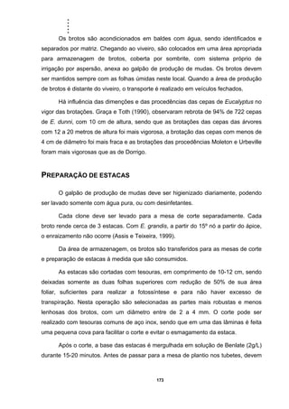 .....
173
Os brotos são acondicionados em baldes com água, sendo identificados e
separados por matriz. Chegando ao viveiro, são colocados em uma área apropriada
para armazenagem de brotos, coberta por sombrite, com sistema próprio de
irrigação por aspersão, anexa ao galpão de produção de mudas. Os brotos devem
ser mantidos sempre com as folhas úmidas neste local. Quando a área de produção
de brotos é distante do viveiro, o transporte é realizado em veículos fechados.
Há influência das dimenções e das procedências das cepas de Eucalyptus no
vigor das brotações. Graça e Toth (1990), observaram rebrota de 94% de 722 cepas
de E. dunni, com 10 cm de altura, sendo que as brotações das cepas das árvores
com 12 a 20 metros de altura foi mais vigorosa, a brotação das cepas com menos de
4 cm de diâmetro foi mais fraca e as brotações das procedências Moleton e Urbeville
foram mais vigorosas que as de Dorrigo.
PREPARAÇÃO DE ESTACAS
O galpão de produção de mudas deve ser higienizado diariamente, podendo
ser lavado somente com água pura, ou com desinfetantes.
Cada clone deve ser levado para a mesa de corte separadamente. Cada
broto rende cerca de 3 estacas. Com E. grandis, a partir do 15º nó a partir do ápice,
o enraizamento não ocorre (Assis e Teixeira, 1999).
Da área de armazenagem, os brotos são transferidos para as mesas de corte
e preparação de estacas à medida que são consumidos.
As estacas são cortadas com tesouras, em comprimento de 10-12 cm, sendo
deixadas somente as duas folhas superiores com redução de 50% de sua área
foliar, suficientes para realizar a fotossíntese e para não haver excesso de
transpiração. Nesta operação são selecionadas as partes mais robustas e menos
lenhosas dos brotos, com um diâmetro entre de 2 a 4 mm. O corte pode ser
realizado com tesouras comuns de aço inox, sendo que em uma das lâminas é feita
uma pequena cova para facilitar o corte e evitar o esmagamento da estaca.
Após o corte, a base das estacas é mergulhada em solução de Benlate (2g/L)
durante 15-20 minutos. Antes de passar para a mesa de plantio nos tubetes, devem
 