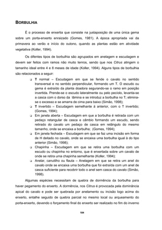 184
BORBULHIA
É o processo de enxertia que consiste na justaposição de uma única gema
sobre um porta-enxerto enraizado (Gomes, 1981). A época apropriada vai da
primavera ao verão e início do outono, quando as plantas estão em atividade
vegetativa (Koller, 1994).
Os difentes tipos de borbulhia são agrupados em anelagem e escudagem e
devem ser feitos com ramos não muito tenros, sendo que nos Citrus atingem o
tamanho ideal entre 4 e 8 meses de idade (Koller, 1994). Alguns tipos de borbulhia
são relacionados a seguir:
T normal – Escudagem em que se fende o cavalo no sentido
transversal e no sentido perpendicular, formando um T. O escudo ou
gema é extraído da planta doadora segurando-se o ramo em posição
invertida. Prende-se o escudo lateralmente ou pelo pecíolo, levanta-se
a casca com o dorso da lâmina e se introduz a borbulha no T; elimina-
se o excesso e se amarra de cima para baixo (Simão, 1998);
T invertido – Escudagem semelhante à anterior, com o T invertido;
(Gomes, 1994);
Em janela aberta – Escudagem em que a borbulha é retirada com um
pedaço retangular de casca e câmbio formando um escudo, sendo
retirado do cavalo um pedaço de casca em retângulo do mesmo
tamanho, onde se encaixa a borbulha; (Gomes, 1994);
Em janela fechada – Escudagem em que se faz uma incisão em forma
de H deitado no cavalo, onde se encaixa uma borbulha igual à do tipo
anterior (Simão, 1998);
Chapinha – Escudagem em que se retira uma borbulha com um
escudo ou chapinha no entorno, que é enxertada sobre um cavalo de
onde se retira uma chapinha semelhante (Koller, 1994);
Anelar, canutilho ou flauta – Anelagem em que se retira um anel do
cavalo onde se encaixa uma borbulha que foi extraída com um anel de
casca suficiente para recobrir todo o anel sem casca do cavalo (Simão,
1998).
Algumas espécies necessitam de quebra de dormência da borbulha para
haver pegamento do enxerto. A dormência, nos Citrus é provocada pela dominância
apical do cavalo e pode ser quebrada por anelamento ou incisão logo acima do
enxerto, entalhe seguido de quebra parcial no mesmo local ou arqueamento do
porta-enxerto, devendo o forçamento final do enxerto ser realizado no fim do inverno
 
