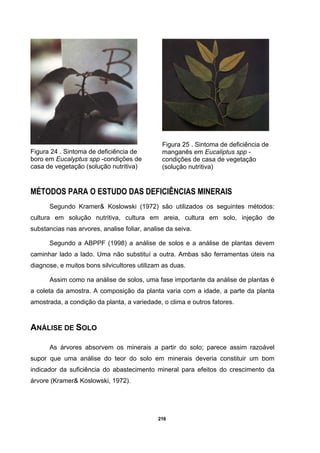 216
Figura 24 . Sintoma de deficiência de
boro em Eucalyptus spp -condições de
casa de vegetação (solução nutritiva)
Figura 25 . Sintoma de deficiência de
manganês em Eucaliptus spp -
condições de casa de vegetação
(solução nutritiva)
MÉTODOS PARA O ESTUDO DAS DEFICIÊNCIAS MINERAIS
Segundo Kramer& Koslowski (1972) são utilizados os seguintes métodos:
cultura em solução nutritiva, cultura em areia, cultura em solo, injeção de
substancias nas arvores, analise foliar, analise da seiva.
Segundo a ABPPF (1998) a análise de solos e a análise de plantas devem
caminhar lado a lado. Uma não substituí a outra. Ambas são ferramentas úteis na
diagnose, e muitos bons silvicultores utilizam as duas.
Assim como na análise de solos, uma fase importante da análise de plantas é
a coleta da amostra. A composição da planta varia com a idade, a parte da planta
amostrada, a condição da planta, a variedade, o clima e outros fatores.
ANÁLISE DE SOLO
As árvores absorvem os minerais a partir do solo; parece assim razoável
supor que uma análise do teor do solo em minerais deveria constituir um bom
indicador da suficiência do abastecimento mineral para efeitos do crescimento da
árvore (Kramer& Koslowski, 1972).
 
