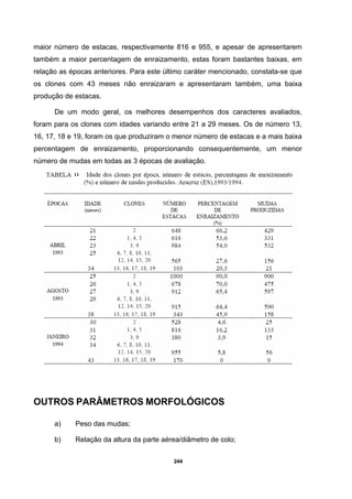 244
maior número de estacas, respectivamente 816 e 955, e apesar de apresentarem
também a maior percentagem de enraizamento, estas foram bastantes baixas, em
relação as épocas anteriores. Para este último caráter mencionado, constata-se que
os clones com 43 meses não enraizaram e apresentaram também, uma baixa
produção de estacas.
De um modo geral, os melhores desempenhos dos caracteres avaliados,
foram para os clones com idades variando entre 21 a 29 meses. Os de número 13,
16, 17, 18 e 19, foram os que produziram o menor número de estacas e a mais baixa
percentagem de enraizamento, proporcionando consequentemente, um menor
número de mudas em todas as 3 épocas de avaliação.
OUTROS PARÂMETROS MORFOLÓGICOS
a) Peso das mudas;
b) Relação da altura da parte aérea/diâmetro de colo;
 