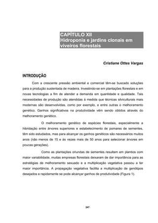 247
CAPÍTULO XII
Hidroponia e jardins clonais em
viveiros florestais
Cristiane Ottes Vargas
INTRODUÇÃO
Com a crescente pressão ambiental e comercial têm-se buscado soluções
para a produção sustentada de madeira. Investindo-se em plantações florestais e em
novas tecnologias a fim de atender a demanda em quantidade e qualidade. Tais
necessidades de produção são atendidas à medida que técnicas silviculturais mais
modernas são desenvolvidas, como por exemplo, e entre outras o melhoramento
genético. Ganhos significativos na produtividade vêm sendo obtidos através do
melhoramento genético.
O melhoramento genético de espécies florestais, especialmente a
hibridação entre árvores superiores e estabelecimento de pomares de sementes,
têm sido estudados, mas para alcançar os ganhos genéticos são necessários muitos
anos (não menos de 15 e às vezes mais de 50 anos para selecionar árvores em
poucas gerações).
Como as plantações oriundas de sementes resultam em plantios com
maior variabilidade, muitas empresas florestais deixaram de dar importância para as
estratégias de melhoramento sexuado e a multiplicação vegetativa passou a ter
maior importância. A propagação vegetativa facilita a multiplicação de genótipos
desejados e rapidamente se pode alcançar ganhos de produtividade (Figura 1).
 