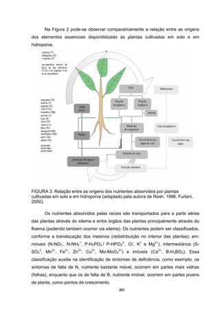 251
Na Figura 2 pode-se observar comparativamente a relação entre as origens
dos elementos essenciais disponibilizado às plantas cultivadas em solo e em
hidroponia.
FIGURA 3: Relação entre as origens dos nutrientes absorvidos por plantas
cultivadas em solo e em hidroponia (adaptado pela autora de Resh, 1996, Furlani,
2000).
Os nutrientes absorvidos pelas raízes são transportados para a parte aérea
das plantas através do xilema e entre órgãos das plantas principalmente através do
floema (podendo também ocorrer via xilema). Os nutrientes podem ser classificados,
conforme a translocação dos mesmos (redistribuição no interior das plantas), em:
móveis (N-NO3
-
, N-NH4
+
, P-H2PO4
-
/ P-HPO4
2-
, Cl-
, K+
e Mg2+
), intermediários (S-
SO4
2
, Mn2+
, Fe2+
, Zn2+
, Cu2+
, Mo-MoO4
2+
) e imóveis (Ca2+
, B-H3BO3). Essa
classificação auxilia na identificação de sintomas de deficiência, como exemplo, os
sintomas de falta de N, nutriente bastante móvel, ocorrem em partes mais velhas
(folhas), enquanto que os de falta de B, nutriente imóvel, ocorrem em partes jovens
da planta, como pontos de crescimento.
 