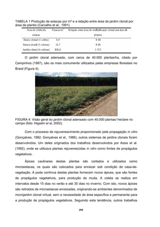 254
TABELA 1 Produção de estacas por m² e a relação entre área de jardim clonal por
área de plantio (Carvalho et al., 1991).
O jardim clonal adensado, com cerca de 40.000 plantas/ha, citado por
Campinhos (1987), são os mais comumente utilizados pelas empresas florestais no
Brasil (Figura 4).
FIGURA 4: Visão geral do jardim clonal adensado com 40.000 plantas/ hectare no
campo (foto: Higashi et al, 2002).
Com o processo de rejuvenescimento proporcionado pela propagação in vitro
(Gonçalves, 1982; Gonçalves et al., 1986), outros sistemas de jardins clonais foram
desenvolvidos. Um deles originados dos trabalhos desenvolvidos por Assis et al.
(1992), onde se utilizava plantas rejuvenescidas in vitro como fontes de propágulos
vegetativos.
Ápices caulinares destas plantas são cortados e utilizados como
microestacas, os quais são colocados para enraizar sob condição de casa-de-
vegetação. A poda contínua destas plantas fornecem novos ápices, que são fontes
de propágulos vegetativos, para produção da muda. A coleta se realiza em
intervalos desde 15 dias no verão e até 30 dias no inverno. Com isto, novos ápices
são retirados de microestacas enraizadas, originando-se ambientes denominados de
microjardim clonal virtual, sem a necessidade de área específica e permanente para
a produção de propágulos vegetativos. Seguindo esta tendência, outros trabalhos
 