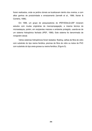 255
foram realizados, onde os jardins clonais se localizavam dentro dos viveiros, e com
altos ganhos de produtividade e enraizamento (Iannelli et al., 1996; Xavier &
Comério, 1996).
Em 1996, um grupo de pesquisadores do IPEF/ESALQ-USP iniciaram
estudos com mudas originárias da macropropagação, a mesma técnica da
microestaquia, porém, em recipientes maiores e ambiente protegido, usando-se de
um sistema hidropônico fechado (IPEF, 1996). Este sistema foi denominado de
minijardim clonal.
Vários sistemas hidropônicos foram testados: floating, calhas de fibra de vidro
com substrato do tipo resina fenólica, piscinas de fibra de vidro ou tubos de PVC
com substrato do tipo areia grossa ou resina fenólica. (Figura 5).
 