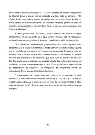 262
cm de brita ou seixo rolado (Figura 9 – F), com finalidade de facilitar o escoamento
do efluente. Sobre a brita deverá ser colocada uma tela, pode ser sombrite - 70%
(Figura 9 – G), para evitar a mistura da areia grossa com a brita (Figura 9 – G e H).
Neste sistema de cultivo hidropônico, os substratos utilizados podem ser areia ou
cascalho, por apresentarem características físicas e químicas adequadas para esta
finalidade. (Tabela 3).
A areia grossa deve ser lavada, com o objetivo de eliminar qualquer
contaminante, em um recipiente até a água tornar-se límpida. Não há necessidade
de se adicionar nenhum produto na água (ex.: hipoclorito de sódio ou detergente).
Os nutrientes são fornecidos por gotejamento a cada planta, regulando-se a
concentração e a vasão de nutrientes de modo a ter um excedente muito pequeno,
que é recolhido por um sistema de drenagem ou descartado. O sistema pode ser
fechado, onde a solução retorna para o sistema através do escoamento do efluente
em uma das extremidades do canaletão, que deve estar em desnível de cerca de
2%. Ou aberto, onde a solução é descartada através das perfurações na base do
canaletão, furos em ambas depressões a cada 20 cm, o que reduz a possibilidade
de disseminação de patógenos. As mangueiras de gotejamento devem ser
colocadas conforme as especificações do fabricante.
O espaçamento de plantio deve ser conforme a necessidade de cada
empresa. Os mais comumente utilizados variam de 5 – 10 cm x 5 – 10 cm. As
mudas selecionadas para o plantio devem ter entre 45 e 50 dias de idade e altura
máxima de cerca de 15 - 20 cm e com aparência sadia, livre de qualquer tipo de
patógeno.
 