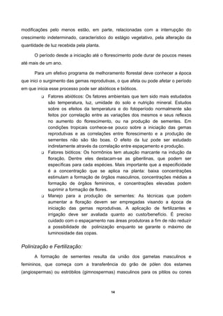 14
modificações pelo menos estão, em parte, relacionadas com a interrupção do
crescimento indeterminado, característico do estágio vegetativo, pela alteração da
quantidade de luz recebida pela planta.
O período desde a iniciação até o florescimento pode durar de poucos meses
até mais de um ano.
Para um efetivo programa de melhoramento florestal deve conhecer a época
que inici o surgimento das gemas reprodutivas, o que afeta ou pode afetar o período
em que inicia esse processo pode ser abióticos e bióticos.
Fatores abióticos: Os fatores ambientais que tem sido mais estudados
são temperatura, luz, umidade do solo e nutrição mineral. Estudos
sobre os efeitos da temperatura e do fotoperíodo normalmente são
feitos por correlação entre as variações dos mesmos e seus reflexos
no aumento do florescimento, ou na produção de sementes. Em
condições tropicais conhece-se pouco sobre a iniciação das gemas
reprodutivas e as correlações entre florescimento e a produção de
sementes não são tão boas. O efeito da luz pode ser estudado
indiretamente através da correlação entre espaçamento e produção.
Fatores bióticos: Os hormônios tem atuação marcante na indução da
floração. Dentre eles destacam-se as giberilinas, que podem ser
específicas para cada espécies. Mais importante que a especificidade
é a concentração que se aplica na planta: baixa concentrações
estimulam a formação de órgãos masculinos, concentrações médias a
formação de órgãos femininos, e concentrações elevadas podem
suprimir a formação de flores.
Manejo para a produção de sementes: As técnicas que podem
aumentar a floração devem ser empregadas visando a época de
iniciação das gemas reprodutivas. A aplicação de fertilizantes e
irrigação deve ser avaliada quanto ao custo/benefício. É preciso
cuidado com o espaçamento nas áreas produtoras a fim de não reduzir
a possibilidade de polinização enquanto se garante o máximo de
luminosidade das copas.
Polinização e Fertilização:
A formação de sementes resulta da união dos gametas masculinos e
femininos, que começa com a transferência do grão de pólen dos estames
(angiospermas) ou estróbilos (gimnospermas) masculinos para os pitilos ou cones
 