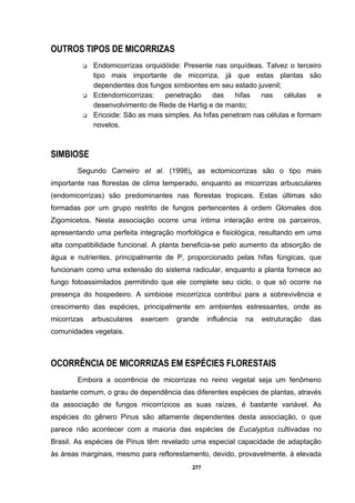 277
OUTROS TIPOS DE MICORRIZAS
Endomicorrizas orquidóide: Presente nas orquídeas. Talvez o terceiro
tipo mais importante de micorriza, já que estas plantas são
dependentes dos fungos simbiontes em seu estado juvenil;
Ectendomicorrizas: penetração das hifas nas células e
desenvolvimento de Rede de Hartig e de manto;
Ericoide: São as mais simples. As hifas penetram nas células e formam
novelos.
SIMBIOSE
Segundo Carneiro et al. (1998), as ectomicorrizas são o tipo mais
importante nas florestas de clima temperado, enquanto as micorrizas arbusculares
(endomicorrizas) são predominantes nas florestas tropicais. Estas últimas são
formadas por um grupo restrito de fungos pertencentes à ordem Glomales dos
Zigomicetos. Nesta associação ocorre uma íntima interação entre os parceiros,
apresentando uma perfeita integração morfológica e fisiológica, resultando em uma
alta compatibilidade funcional. A planta beneficia-se pelo aumento da absorção de
água e nutrientes, principalmente de P, proporcionado pelas hifas fúngicas, que
funcionam como uma extensão do sistema radicular, enquanto a planta fornece ao
fungo fotoassimilados permitindo que ele complete seu ciclo, o que só ocorre na
presença do hospedeiro. A simbiose micorrízica contribui para a sobrevivência e
crescimento das espécies, principalmente em ambientes estressantes, onde as
micorrizas arbusculares exercem grande influência na estruturação das
comunidades vegetais.
OCORRÊNCIA DE MICORRIZAS EM ESPÉCIES FLORESTAIS
Embora a ocorrência de micorrizas no reino vegetal seja um fenômeno
bastante comum, o grau de dependência das diferentes espécies de plantas, através
da associação de fungos micorrízicos as suas raízes, é bastante variável. As
espécies do gênero Pinus são altamente dependentes desta associação, o que
parece não acontecer com a maioria das espécies de Eucalyptus cultivadas no
Brasil. As espécies de Pinus têm revelado uma especial capacidade de adaptação
às áreas marginais, mesmo para reflorestamento, devido, provavelmente, à elevada
 