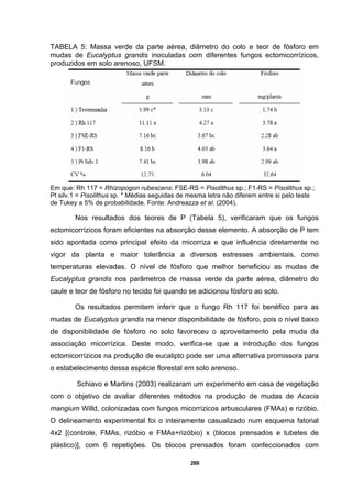 289
TABELA 5: Massa verde da parte aérea, diâmetro do colo e teor de fósforo em
mudas de Eucalyptus grandis inoculadas com diferentes fungos ectomicorrízicos,
produzidos em solo arenoso, UFSM.
Em que: Rh 117 = Rhizopogon rubescens; FSE-RS = Pisolithus sp.; F1-RS = Pisolithus sp.;
Pt silv.1 = Pisolithus sp. * Médias seguidas de mesma letra não diferem entre si pelo teste
de Tukey a 5% de probabilidade. Fonte: Andreazza et al. (2004).
Nos resultados dos teores de P (Tabela 5), verificaram que os fungos
ectomicorrízicos foram eficientes na absorção desse elemento. A absorção de P tem
sido apontada como principal efeito da micorriza e que influência diretamente no
vigor da planta e maior tolerância a diversos estresses ambientais, como
temperaturas elevadas. O nível de fósforo que melhor beneficiou as mudas de
Eucalyptus grandis nos parâmetros de massa verde da parte aérea, diâmetro do
caule e teor de fósforo no tecido foi quando se adicionou fósforo ao solo.
Os resultados permitem inferir que o fungo Rh 117 foi benéfico para as
mudas de Eucalyptus grandis na menor disponibilidade de fósforo, pois o nível baixo
de disponibilidade de fósforo no solo favoreceu o aproveitamento pela muda da
associação micorrízica. Deste modo, verifica-se que a introdução dos fungos
ectomicorrízicos na produção de eucalipto pode ser uma alternativa promissora para
o estabelecimento dessa espécie florestal em solo arenoso.
Schiavo e Martins (2003) realizaram um experimento em casa de vegetação
com o objetivo de avaliar diferentes métodos na produção de mudas de Acacia
mangium Willd, colonizadas com fungos micorrízicos arbusculares (FMAs) e rizóbio.
O delineamento experimental foi o inteiramente casualizado num esquema fatorial
4x2 [(controle, FMAs, rizóbio e FMAs+rizóbio) x (blocos prensados e tubetes de
plástico)], com 6 repetições. Os blocos prensados foram confeccionados com
 