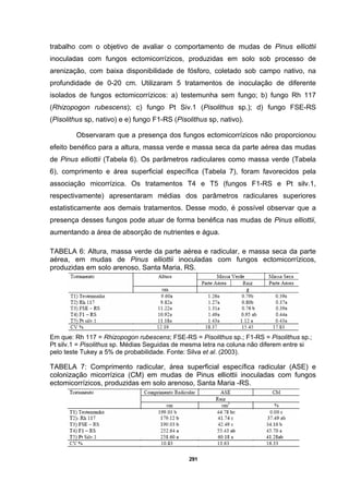 291
trabalho com o objetivo de avaliar o comportamento de mudas de Pinus elliottii
inoculadas com fungos ectomicorrízicos, produzidas em solo sob processo de
arenização, com baixa disponibilidade de fósforo, coletado sob campo nativo, na
profundidade de 0-20 cm. Utilizaram 5 tratamentos de inoculação de diferente
isolados de fungos ectomicorrízicos: a) testemunha sem fungo; b) fungo Rh 117
(Rhizopogon rubescens); c) fungo Pt Siv.1 (Pisolithus sp.); d) fungo FSE-RS
(Pisolithus sp, nativo) e e) fungo F1-RS (Pisolithus sp, nativo).
Observaram que a presença dos fungos ectomicorrízicos não proporcionou
efeito benéfico para a altura, massa verde e massa seca da parte aérea das mudas
de Pinus elliottii (Tabela 6). Os parâmetros radiculares como massa verde (Tabela
6), comprimento e área superficial específica (Tabela 7), foram favorecidos pela
associação micorrízica. Os tratamentos T4 e T5 (fungos F1-RS e Pt silv.1,
respectivamente) apresentaram médias dos parâmetros radiculares superiores
estatisticamente aos demais tratamentos. Desse modo, é possível observar que a
presença desses fungos pode atuar de forma benéfica nas mudas de Pinus elliottii,
aumentando a área de absorção de nutrientes e água.
TABELA 6: Altura, massa verde da parte aérea e radicular, e massa seca da parte
aérea, em mudas de Pinus elliottii inoculadas com fungos ectomicorrízicos,
produzidas em solo arenoso, Santa Maria, RS.
Em que: Rh 117 = Rhizopogon rubescens; FSE-RS = Pisolithus sp.; F1-RS = Pisolithus sp.;
Pt silv.1 = Pisolithus sp. Médias Seguidas de mesma letra na coluna não diferem entre si
pelo teste Tukey a 5% de probabilidade. Fonte: Silva et al. (2003).
TABELA 7: Comprimento radicular, área superficial específica radicular (ASE) e
colonização micorrízica (CM) em mudas de Pinus elliottii inoculadas com fungos
ectomicorrízicos, produzidas em solo arenoso, Santa Maria -RS.
 