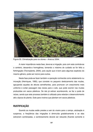 327
Figura 05. Climatização para os clones – Aracruz 2004.
A maior importância nesta fase, deve-se a irrigação, pois com esta controla-se
o canteiro, deixando-o homogênea, tomando o máximo de cuidado se for feito a
fertirrigação (Tecnoplanta, 2004), pois aquilo que é bom para algumas espécies do
mesmo gênero, pode ser nocivo para outras.
Nesta fase pode-se fazer também a operação conhecida como abalamento ou
moveção (Henriques, 1995), que consiste no pequeno deslocamento das mudas,
agrupando aquelas de alturas semelhantes, para promover um crescimento mais
uniforme e evitar passagem das raízes para o solo, que pode ocorrer nas mudas
produzidas em sacos plásticos. Se isto já estiver acontecendo, se faz a poda de
raízes, sendo que este processo também é utilizado para retardar o desenvolvimento
até a época do plantio. Este para viveiros que plantam em sacos plásticos.
RUSTIFICAÇÃO
Quando as mudas estão prestes a sair do viveiro para o campo, adubação é
suspensa, a freqüência das irrigações é diminuída gradativamente e se elas
estiverem sombreadas, o sombreamento deverá ser reduzido (ficando somente à
 