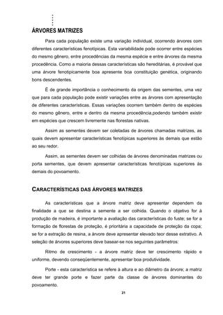 .....
21
ÁRVORES MATRIZES
Para cada população existe uma variação individual, ocorrendo árvores com
diferentes características fenotípicas. Esta variabilidade pode ocorrer entre espécies
do mesmo gênero, entre procedências da mesma espécie e entre árvores da mesma
procedência. Como a maioria dessas características são hereditárias, é provável que
uma árvore fenotipicamente boa apresente boa constituição genética, originando
bons descendentes.
É de grande importância o conhecimento da origem das sementes, uma vez
que para cada população pode existir variações entre as árvores com apresentação
de diferentes características. Essas variações ocorrem também dentro de espécies
do mesmo gênero, entre e dentro da mesma procedência,podendo também existir
em espécies que crescem livremente nas florestas nativas.
Assim as sementes devem ser coletadas de árvores chamadas matrizes, as
quais devem apresentar características fenotípicas superiores às demais que estão
ao seu redor.
Assim, as sementes devem ser colhidas de árvores denominadas matrizes ou
porta sementes, que devem apresentar características fenotípicas superiores às
demais do povoamento.
CARACTERÍSTICAS DAS ÁRVORES MATRIZES
As características que a árvore matriz deve apresentar dependem da
finalidade a que se destina a semente a ser colhida. Quando o objetivo for à
produção de madeira, é importante a avaliação das características do fuste; se for a
formação de florestas de proteção, é prioritária a capacidade de proteção da copa;
se for a extração de resina, a árvore deve apresentar elevado teor desse extrativo. A
seleção de árvores superiores deve basear-se nos seguintes parâmetros:
Ritmo de crescimento - a árvore matriz deve ter crescimento rápido e
uniforme, devendo conseqüentemente, apresentar boa produtividade.
Porte - esta característica se refere à altura e ao diâmetro da árvore; a matriz
deve ter grande porte e fazer parte da classe de árvores dominantes do
povoamento.
 