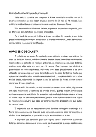 24
Método de estratificação da população
Este método consiste em comparar a árvore candidata a matriz com as 5
árvores dominantes ao seu redor, situadas dentro de um raio de 15 metros. Este
critério tem sido utilizado principalmente para espécies do gênero Pinus.
São estabelecidos diferentes valores, expressos em número de pontos, para
as diferentes características fenotípicas analisadas.
Se o total de pontos atribuídos à árvore candidata for superior a um limite
preestabelecido (por exemplo, a média das 5 árvores dominantes), ela é selecionada
como matriz e recebe uma identificação.
O PROCESSO DE COLHEITA
A colheita de sementes florestais deve ser efetuada em árvores matrizes. No
caso de espécies nativas, onde dificilmente existem áreas produtoras de sementes,
recomenda-se a colheita em matrizes próximas, da mesma espécie, cuja distância
mínima entre elas seja em tomo de 20 metros. Este cuidado visa diminuir a
possibilidade de consangüinidade. Por outro lado, esse procedimento é de difícil
utilização para espécies com baixa densidade como é o caso de Cedrela fissilis, que
apresenta 3 indivíduos/ha, e de Hymeneae courbaril, com apenas O,l indivíduos/ha.
Nestes casos, recomenda-se ampliar a área de colheita, de modo a obter o maior
número de árvores possíveis.
Por ocasião da colheita, as árvores matrizes devem estar sadias, vigorosas e
em plena maturidade. Geralmente as árvores jovens, quando iniciam a frutificação,
produzem pequena quantidade de sementes e de qualidade inferior. Assim, a idade
da árvore deve ser estimada previamente; porém, mais importante que isso é o grau
de maturidade da árvore, que pode se tomar adulta mais precocemente que outras
da mesma idade.
É importante que os responsáveis pela colheita conheçam a fenologia e a
forma como cada espécie dispersa suas sementes, processo esse característico e
distinto entre as espécies, e que se inicia após a maturação dos frutos.
A dispersão das sementes pode dar-se pelo vento - anemocoria, quando se
tratar de sementes pequenas e leves, como as de Jacarandá e as das espécies dos
 