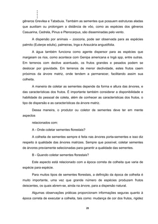 .....
25
gêneros Grevilea e Tabebuia. Também as sementes que possuem estruturas aladas
que auxiliam ou prolongam a distância de vôo, como as espécies dos gêneros
Casuarina, Cedrela, Pinus e Pterocarpus, são disseminadas pelo vento.
A dispersão por animais – zoocoria, pode ser observada para as espécies
palmito (Euterpe edulis), palmeiras, Inga e Araucária angustifolia.
A água também funciona como agente dispersor para as espécies que
margeiam os rios, como acontece com Genipa americana e Ingá spp, entre outras.
Em terrenos com declive acentuado, os frutos grandes e pesados podem se
deslocar por gravidade. Em terrenos de menor declividade, estes frutos caem
próximos da árvore matriz, onde tendem a permanecer, facilitando assim sua
colheita.
A maneira de coletar as sementes depende da forma e altura das árvores, e
das características dos frutos. É importante também considerar a disponibilidade e
habilidade do pessoal de coleta, além de conhecer as características dos frutos, o
tipo de dispersão e as características da árvore matriz.
Dessa maneira, o produtor ou coletor de sementes deve ter em mente
aspectos
relacionados com:
A - Onde coletar sementes florestais?
A colheita de sementes sempre é feita nas árvores porta-sementes e isso diz
respeito à qualidade das árvores matrizes. Sempre que possível, coletar sementes
de árvores previamente selecionadas para garantir a qualidade das sementes.
B - Quando coletar sementes florestais?
Este aspecto está relacionado com a época correta de colheita que varia de
espécie para espécie.
Para muitos tipos de sementes florestais, a definição da época de colheita é
muito importante, uma vez que grande número de espécies produzem frutos
deiscentes, os quais abrem-se, ainda na árvore, para a dispersão natural.
Algumas observações práticas proporcionam informações seguras quanto à
época correta de executar a colheita, tais como: mudança de cor dos frutos, rigidez
 