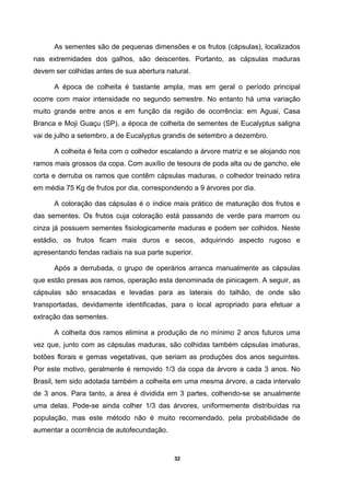 32
As sementes são de pequenas dimensões e os frutos (cápsulas), localizados
nas extremidades dos galhos, são deiscentes. Portanto, as cápsulas maduras
devem ser colhidas antes de sua abertura natural.
A época de colheita é bastante ampla, mas em geral o período principal
ocorre com maior intensidade no segundo semestre. No entanto há uma variação
muito grande entre anos e em função da região de ocorrência: em Aguai, Casa
Branca e Moji Guaçu (SP), a época de colheita de sementes de Eucalyptus saligna
vai de julho a setembro, a de Eucalyptus grandis de setembro a dezembro.
A colheita é feita com o colhedor escalando a árvore matriz e se alojando nos
ramos mais grossos da copa. Com auxílio de tesoura de poda alta ou de gancho, ele
corta e derruba os ramos que contêm cápsulas maduras, o colhedor treinado retira
em média 75 Kg de frutos por dia, correspondendo a 9 árvores por dia.
A coloração das cápsulas é o índice mais prático de maturação dos frutos e
das sementes. Os frutos cuja coloração está passando de verde para marrom ou
cinza já possuem sementes fisiologicamente maduras e podem ser colhidos. Neste
estádio, os frutos ficam mais duros e secos, adquirindo aspecto rugoso e
apresentando fendas radiais na sua parte superior.
Após a derrubada, o grupo de operários arranca manualmente as cápsulas
que estão presas aos ramos, operação esta denominada de pinicagem. A seguir, as
cápsulas são ensacadas e levadas para as laterais do talhão, de onde são
transportadas, devidamente identificadas, para o local apropriado para efetuar a
extração das sementes.
A colheita dos ramos elimina a produção de no mínimo 2 anos futuros uma
vez que, junto com as cápsulas maduras, são colhidas também cápsulas imaturas,
botões florais e gemas vegetativas, que seriam as produções dos anos seguintes.
Por este motivo, geralmente é removido 1/3 da copa da árvore a cada 3 anos. No
Brasil, tem sido adotada também a colheita em uma mesma árvore, a cada intervalo
de 3 anos. Para tanto, a área é dividida em 3 partes, colhendo-se se anualmente
uma delas. Pode-se ainda colher 1/3 das árvores, uniformemente distribuídas na
população, mas este método não é muito recomendado, pela probabilidade de
aumentar a ocorrência de autofecundação.
 