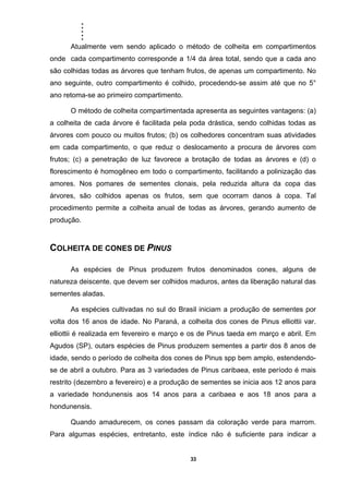 .....
33
Atualmente vem sendo aplicado o método de colheita em compartimentos
onde cada compartimento corresponde a 1/4 da área total, sendo que a cada ano
são colhidas todas as árvores que tenham frutos, de apenas um compartimento. No
ano seguinte, outro compartimento é colhido, procedendo-se assim até que no 5°
ano retoma-se ao primeiro compartimento.
O método de colheita compartimentada apresenta as seguintes vantagens: (a)
a colheita de cada árvore é facilitada pela poda drástica, sendo colhidas todas as
árvores com pouco ou muitos frutos; (b) os colhedores concentram suas atividades
em cada compartimento, o que reduz o deslocamento a procura de árvores com
frutos; (c) a penetração de luz favorece a brotação de todas as árvores e (d) o
florescimento é homogêneo em todo o compartimento, facilitando a polinização das
amores. Nos pomares de sementes clonais, pela reduzida altura da copa das
árvores, são colhidos apenas os frutos, sem que ocorram danos à copa. Tal
procedimento permite a colheita anual de todas as árvores, gerando aumento de
produção.
COLHEITA DE CONES DE PINUS
As espécies de Pinus produzem frutos denominados cones, alguns de
natureza deiscente. que devem ser colhidos maduros, antes da liberação natural das
sementes aladas.
As espécies cultivadas no sul do Brasil iniciam a produção de sementes por
volta dos 16 anos de idade. No Paraná, a colheita dos cones de Pinus elliottii var.
elliottii é realizada em fevereiro e março e os de Pinus taeda em março e abril. Em
Agudos (SP), outars espécies de Pinus produzem sementes a partir dos 8 anos de
idade, sendo o período de colheita dos cones de Pinus spp bem amplo, estendendo-
se de abril a outubro. Para as 3 variedades de Pinus caribaea, este período é mais
restrito (dezembro a fevereiro) e a produção de sementes se inicia aos 12 anos para
a variedade hondunensis aos 14 anos para a caribaea e aos 18 anos para a
hondunensis.
Quando amadurecem, os cones passam da coloração verde para marrom.
Para algumas espécies, entretanto, este índice não é suficiente para indicar a
 