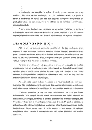 .....
35
Normalmente, por ocasião da coleta, é muito comum causar danos às
árvores, como corte radical, diminuição da copa pelo corte severo dos galhos e
ramos e ferimentos no tronco pelo uso das esporas. Isso pode comprometer as
produções futuras de sementes, daí a importância de as matrizes serem tratadas
com muito cuidado.
É importante, também, ao manusear as sementes coletadas de se ter o
cuidado para não misturá-las com sementes de outras espécies, o que dificultará a
separação posterior, bem como para evitar a contaminação por agentes patógenos.
ÁREA DE COLETA DE SEMENTES (ACS)
ACS é um povoamento comercial considerado de boa qualidade, onde
algumas árvores de melhor qualidade aparente (melhor fenótipo) são selecionadas
para a coleta de sementes. Como essas árvores matrizes não são selecionadas com
base no seu valor genético e, ainda, são polinizadas por qualquer árvore em sua
volta, o valor genético das suas sementes é limitado.
Portanto, o viveirista deverá planejar a operação de produção de mudas,
considerando que um grande número de delas deverá ser descartado no processo,
devido à grande freqüência de plantas de baixo vigor, má formação e com outros
defeitos. A vantagem dessa categoria de semente é o baixo custo e a segurança de
maior adaptabilidade ao local de produção.
As árvores são selecionadas e marcadas sem haver desbastes do indivíduos
inferiores. São coletadas sementes somente das árvores selecionadas. A seleção é
realizada somente do lado feminino, já que não se controlam as árvores polinizantes.
Coleta-se sementes de árvores mães selecionadas em extensas áreas.
Normalmente, esta seleção envolve várias características, tais como: produção de
massa foliar, adaptação, tolerância a geadas, ocorrência de insetos e doenças, etc.
O custo envolvido com a implantação destas áreas é baixo. Os ganhos obtidos por
este método são relativamente baixos, sendo mais eficientes para caracteres de alta
herdabilidade. Neste caso, não há limite quanto à intensidade de seleção.
Geralmente, esse método é empregado nas populações genéticas de material
selvagem.
 