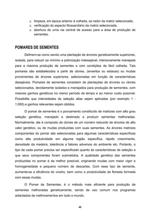 40
limpeza, em época anterior à colheita, ao redor da matriz selecionada;
verificação do aspecto fitossanitário da matriz selecionada;
abertura de urna via central de acesso para a área de produção de
sementes.
POMARES DE SEMENTES
Definem-se como sendo uma plantação de árvores geneticamente superiores,
isolada, para reduzir ao mínimo a polinização indesejável, intensivamente manejada
para a máxima produção de sementes e com condições de fácil colheita. Tais
pomares são estabelecidos a partir de clones, (enxertos ou estacas) ou mudas
provenientes de árvores superiores, selecionadas em função de características
desejáveis. Pomares de sementes consistem de plantações de árvores ou clones
selecionados, devidamente isolados e manejados para produção de sementes, com
maiores ganhos genéticos no menor período de tempo e ao menor custo possível.
Possibilita que intensidades de seleção altas sejam aplicadas (por exemplo 1 :
1.000) e ganhos relevantes sejam obtidos.
O pomar de sementes é o povoamento constituído de matrizes com alto grau
seleção genética, manejado e destinado a produzir sementes melhoradas.
Normalmente, ele é composto de clones de um número reduzido de árvores de alto
valor genético, ou de mudas produzidas com suas sementes. As árvores matrizes
componentes do pomar são selecionadas para algumas características específicas
como alta produtividade em alguma região específica, rápido crescimento,
densidade da madeira, tolerância a fatores adversos do ambiente etc. Portanto, o
tipo de cada pomar precisa ser especificado quanto às características de seleção a
que seus componentes foram submetidos. A qualidade genética das sementes
produzidas no pomar é da melhor possível, originando mudas com maior vigor e
homogeneidade e pequeno número de descartes. Com esse tipo de semente,
aumenta-se a eficiência do viveiro, bem como a produtividade da floresta formada
com essas mudas.
O Pomar de Sementes, é o método mais eficiente para produção de
sementes melhoradas geneticamente, sendo de uso comum nos programas
adiantados de melhoramentos em todo o mundo.
 