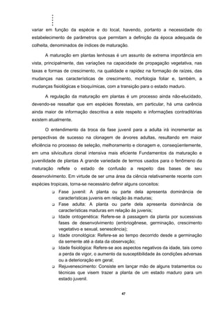 .....
47
variar em função da espécie e do local, havendo, portanto a necessidade do
estabelecimento de parâmetros que permitam a definição da época adequada de
colheita, denominados de índices de maturação.
A maturação em plantas lenhosas é um assunto de extrema importância em
vista, principalmente, das variações na capacidade de propagação vegetativa, nas
taxas e formas de crescimento, na qualidade e rapidez na formação de raízes, das
mudanças nas características de crescimento, morfologia foliar e, também, a
mudanças fisiológicas e bioquímicas, com a transição para o estado maduro.
A regulação da maturação em plantas é um processo ainda não-elucidado,
devendo-se ressaltar que em espécies florestais, em particular, há uma carência
ainda maior de informação descritiva a este respeito e informações contraditórias
existem atualmente.
O entendimento da troca da fase juvenil para a adulta irá incrementar as
perspectivas de sucesso na clonagem de árvores adultas, resultando em maior
eficiência no processo de seleção, melhoramento e clonagem e, conseqüentemente,
em uma silvicultura clonal intensiva mais eficiente Fundamentos da maturação e
juvenilidade de plantas A grande variedade de termos usados para o fenômeno da
maturação reflete o estado de confusão a respeito das bases de seu
desenvolvimento. Em virtude de ser uma área da ciência relativamente recente com
espécies tropicais, torna-se necessário definir alguns conceitos:
Fase juvenil: A planta ou parte dela apresenta dominância de
características juvenis em relação às maduras;
Fase adulta: A planta ou parte dela apresenta dominância de
características maduras em relação às juvenis;
Idade ontogenética: Refere-se à passagem da planta por sucessivas
fases de desenvolvimento (embriogênese, germinação, crescimento
vegetativo e sexual, senescência);
Idade cronológica: Refere-se ao tempo decorrido desde a germinação
da semente até a data da observação;
Idade fisiológica: Refere-se aos aspectos negativos da idade, tais como
a perda de vigor, o aumento da susceptibilidade às condições adversas
ou a deterioração em geral;
Rejuvenescimento: Consiste em lançar mão de alguns tratamentos ou
técnicas que visem trazer a planta de um estado maduro para um
estado juvenil.
 