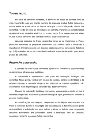 52
TIPO DE FRUTO
No caso de sementes florestais, a definição da época de colheita torna-se
mais importante, pois um grande número de espécies produz frutos deiscentes.
Assim, estes se abrem ainda na árvore para que ocorra a dispersão natural das
sementes. Tendo em vista as dificuldades de colheita, inerentes às características
de determinadas espécies (espinhos no tronco, ramos finos, copa e árvores altas),
muitos frutos e sementes são colhidos no chão, após sua dispersão.
Algumas espécies de frutos deiscentes como as de Eucalyptus e Pinus,
produzem sementes de pequenas dimensões cuja colheita após a dispersão é
impraticável. O mesmo ocorre com algumas espécies nativas, como cedro Tabebuia
sp. (ipê) e peroba, sendo recomendável a colheita antes da dispersão, para evitar
perdas da sementes.
PREDAÇÃO E DISPERSÃO
A colheita no chão expõe a semente a predação, reduzindo a disponibilidade
de sementes e afetando sua qualidade.
A maturidade é representada pelo ponto de maturação fisiológica das
sementes. Neste ponto, variável em função da espécie, condições climáticas e do
próprio indivíduo, a semente atinge o seu potencial de máxima qualidade, não
dependendo mais da planta para completar seu desenvolvimento.
O ponto de maturação fisiológica representa, teoricamente, o ponto em que a
semente atinge o seu máximo de qualidade fisiológica, vigor, germinação, tamanho e
peso de matéria seca.
As modificações morfológicas, bioquímicas e fisiológicas que ocorrem nos
frutos e sementes durante a maturação são utilizadas para a determinação do ponto
de maturidade e a definição dos seus índices práticos, os índices mais comumente
utilizados baseiam-se em parâmetros como a coloração, teor de umidade,
densidade, tamanho e peso de frutos e sementes.
 