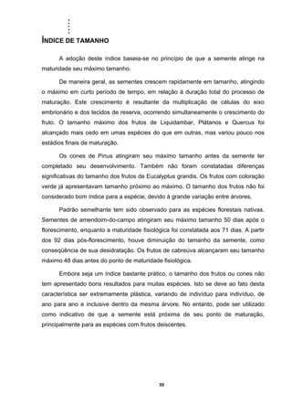 .....
55
ÍNDICE DE TAMANHO
A adoção deste índice baseia-se no princípio de que a semente atinge na
maturidade seu máximo tamanho.
De maneira geral, as sementes crescem rapidamente em tamanho, atingindo
o máximo em curto período de tempo, em relação à duração total do processo de
maturação. Este crescimento é resultante da multiplicação de células do eixo
embrionário e dos tecidos de reserva, ocorrendo simultaneamente o crescimento do
fruto. O tamanho máximo dos frutos de Liquidambar, Plátanos e Quercus foi
alcançado mais cedo em umas espécies do que em outras, mas variou pouco nos
estádios finais de maturação.
Os cones de Pinus atingiram seu máximo tamanho antes da semente ter
completado seu desenvolvimento. Também não foram constatadas diferenças
significativas do tamanho dos frutos de Eucalyptus grandis. Os frutos com coloração
verde já apresentavam tamanho próximo ao máximo. O tamanho dos frutos não foi
considerado bom índice para a espécie, devido à grande variação entre árvores.
Padrão semelhante tem sido observado para as espécies florestais nativas.
Sementes de amendoim-do-campo atingiram seu máximo tamanho 50 dias após o
florescimento, enquanto a maturidade fisiológica foi constatada aos 71 dias. A partir
dos 92 dias pós-florescimento, houve diminuição do tamanho da semente, como
conseqüência de sua desidratação. Os frutos de cabreúva alcançaram seu tamanho
máximo 48 dias antes do ponto de maturidade fisiológica.
Embora seja um índice bastante prático, o tamanho dos frutos ou cones não
tem apresentado bons resultados para muitas espécies. Isto se deve ao fato desta
característica ser extremamente plástica, variando de indivíduo para indivíduo, de
ano para ano e inclusive dentro da mesma árvore. No entanto, pode ser utilizado
como indicativo de que a semente está próxima de seu ponto de maturação,
principalmente para as espécies com frutos deiscentes.
 
