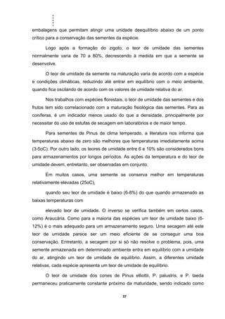 .....
57
embalagens que permitam atingir uma unidade deequilíbrio abaixo de um ponto
crítico para a conservação das sementes da espécie.
Logo após a formação do zigoto, o teor de umidade das sementes
normalmente varia de 70 a 80%, decrescendo à medida em que a semente se
desenvolve.
O teor de umidade da semente na maturação varia de acordo com a espécie
e condições climáticas, reduzindo até entrar em equilíbrio com o meio ambiente,
quando fica oscilando de acordo com os valores de umidade relativa do ar.
Nos trabalhos com espécies florestais, o teor de umidade das sementes e dos
frutos tem sido correlacionado com a maturação fisiológica das sementes. Para as
coníferas, é um indicador menos usado do que a densidade, principalmente por
necessitar do uso de estufas de secagem em laboratórios e de maior tempo.
Para sementes de Pinus de clima temperado, a literatura nos informa que
temperaturas abaixo de zero são melhores que temperaturas imediatamente acima
(3-5oC). Por outro lado, os teores de umidade entre 6 e 10% são considerados bons
para armazenamentos por longos períodos. As ações da temperatura e do teor de
umidade devem, entretanto, ser observadas em conjunto.
Em muitos casos, uma semente se conserva melhor em temperaturas
relativamente elevadas (25oC),
quando seu teor de umidade é baixo (6-8%) do que quando armazenado as
baixas temperaturas com
elevado teor de umidade. O inverso se verifica também em certos casos,
como Araucária. Como para a maioria das espécies um teor de umidade baixo (6-
12%) é o mais adequado para um armazenamento seguro. Uma secagem até este
teor de umidade parece ser um meio eficiente de se conseguir uma boa
conservação. Entretanto, a secagem por si só não resolve o problema, pois, uma
semente armazenada em determinado ambiente entra em equilíbrio com a umidade
do ar, atingindo um teor de umidade de equilíbrio. Assim, a diferentes umidade
relativas, cada espécie apresenta um teor de umidade de equilíbrio.
O teor de umidade dos cones de Pinus elliottii, P. palustris, e P. taeda
permaneceu praticamente constante próximo da maturidade, sendo indicado como
 