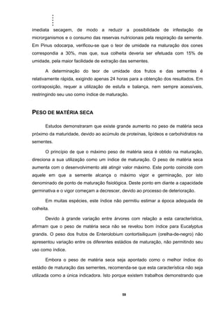 .....
59
imediata secagem, de modo a reduzir a possibilidade de infestação de
microrganismos e o consumo das reservas nutricionais pela respiração da semente.
Em Pinus odocarpa, verificou-se que o teor de umidade na maturação dos cones
correspondia a 30%, mas que, sua colheita deveria ser efetuada com 15% de
umidade, pela maior facilidade de extração das sementes.
A determinação do teor de umidade dos frutos e das sementes é
relativamente rápida, exigindo apenas 24 horas para a obtenção dos resultados. Em
contraposição, requer a utilização de estufa e balança, nem sempre acessíveis,
restringindo seu uso como índice de maturação.
PESO DE MATÉRIA SECA
Estudos demonstraram que existe grande aumento no peso de matéria seca
próximo da maturidade, devido ao acúmulo de proteínas, lipídeos e carbohidratos na
sementes.
O princípio de que o máximo peso de matéria seca é obtido na maturação,
direciona a sua utilização como um índice de maturação. O peso de matéria seca
aumenta com o desenvolvimento até atingir valor máximo. Este ponto coincide com
aquele em que a semente alcança o máximo vigor e germinação, por isto
denominado de ponto de maturação fisiológica. Deste ponto em diante a capacidade
germinativa e o vigor começam a decrescer, devido ao processo de deterioração.
Em muitas espécies, este índice não permitiu estimar a época adequada de
colheita.
Devido à grande variação entre árvores com relação a esta característica,
afirmam que o peso de matéria seca não se revelou bom índice para Eucalyptus
grandis. O peso dos frutos de Enterolobium contortisiliquum (orelha-de-negro) não
apresentou variação entre os diferentes estádios de maturação, não permitindo seu
uso como índice.
Embora o peso de matéria seca seja apontado como o melhor índice do
estádio de maturação das sementes, recomenda-se que esta característica não seja
utilizada como a única indicadora. Isto porque existem trabalhos demonstrando que
 