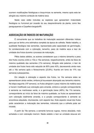 60
ocorrem modificações fisiológicas e bioquímicas na semente, mesmo após esta ter
atingido seu máximo conteúdo de matéria seca.
Neste caso estão incluídas as espécies que apresentam imaturidade
fisiológica ou funcional por ocasião do seu desprendimento da planta, como Ilex
paraguayensis e Copaifera langsdorffïi.
ASSOCIAÇÃO DE ÍNDICES DE MATURAÇÃO
É conveniente que os trabalhos de maturação associem diferentes índices
para que se tenha uma estimativa completa da época de colheita. Neste trabalho, a
qualidade fisiológica das sementes, representada pela capacidade de germinação,
foi correlacionada com a coloração, tamanho, peso de matéria seca e teor de
umidade dos frutos durante o processo de maturação.
Pêlos dados obtidos, os autores constataram que o máximo tamanho e peso
dos frutos ocorreu entre a 1Oa e 15a semanas, respectivamente, antes da faixa de
máxima qualidade das sementes (17a semana). Atingido este patamar, o teor de
umidade dos frutos havia sido reduzido de 80% para 43%, decrescendo ainda mais
até a 18a semana após o florescimento (23,8%), ficando em tomo de 17% nas
semanas subseqüentes.
Em relação à coloração e aspecto dos frutos, na 14a semana estes se
apresentavam ainda verdes, embora já houvessem alcançado seu tamanho máximo.
Na etapa seguinte (15ª semana), os frutos atingiram o peso máximo de matéria seca
e haviam modificado sua coloração para amarela, embora a porção correspondente
à semente se mantivesse verde, e a germinação baixa (48%). Na 17a semana,
correspondente ao início da faixa de máxima qualidade, os frutos se apresentaram
com coloração totalmente amarela, e a porção correspondente à semente se
encontrava abaulada, intumescida, com aspecto liso. Este aspecto visual dos frutos
pode caracterizar a maturação das sementes, indicando que a colheita pode ser
iniciada.
A partir da 18a semana, a semente toma-se rugosa, menos abaulada, mais
achatada e com coloração marrom. Neste estádio o teor se umidade situa-se em
 
