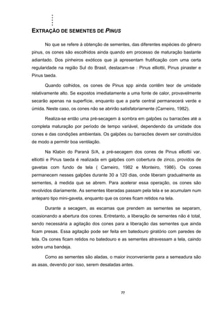 .....
77
EXTRAÇÃO DE SEMENTES DE PINUS
No que se refere à obtenção de sementes, das diferentes espécies do gênero
pinus, os cones são escolhidos ainda quando em processo de maturação bastante
adiantado. Dos pinheiros exóticos que já apresentam frutificação com uma certa
regularidade na região Sul do Brasil, destacam-se : Pinus elliottii, Pinus pinaster e
Pinus taeda.
Quando colhidos, os cones de Pinus spp ainda contêm teor de umidade
relativamente alto. Se expostos imediatamente a uma fonte de calor, provavelmente
secarão apenas na superfície, enquanto que a parte central permanecerá verde e
úmida. Neste caso, os cones não se abrirão satisfatoriamente (Carneiro, 1982).
Realiza-se então uma pré-secagem à sombra em galpões ou barracões até a
completa maturação por período de tempo variável, dependendo da umidade dos
cones e das condições ambientais. Os galpões ou barracões devem ser construídos
de modo a permitir boa ventilação.
Na Klabin do Paraná S/A, a pré-secagem dos cones de Pinus elliottii var.
elliottii e Pinus taeda é realizada em galpões com cobertura de zinco, providos de
gavetas com fundo de tela ( Carneiro, 1982 e Monteiro, 1986). Os cones
permanecem nesses galpões durante 30 a 120 dias, onde liberam gradualmente as
sementes, à medida que se abrem. Para acelerar essa operação, os cones são
revolvidos diariamente. As sementes liberadas passam pela tela e se acumulam num
anteparo tipo mini-gaveta, enquanto que os cones ficam retidos na tela.
Durante a secagem, as escamas que prendem as sementes se separam,
ocasionando a abertura dos cones. Entretanto, a liberação de sementes não é total,
sendo necessária a agitação dos cones para a liberação das sementes que ainda
ficam presas. Essa agitação pode ser feita em batedouro giratório com paredes de
tela. Os cones ficam retidos no batedouro e as sementes atravessam a tela, caindo
sobre uma bandeja.
Como as sementes são aladas, o maior inconveniente para a semeadura são
as asas, devendo por isso, serem desaladas antes.
 