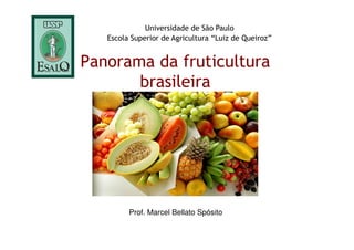Panorama da fruticultura
brasileira
Universidade de São Paulo
Escola Superior de Agricultura “Luiz de Queiroz”
Prof. Marcel Bellato Spósito
 