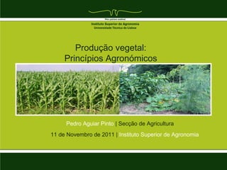 Produção vegetal:
     Princípios Agronómicos




     Pedro Aguiar Pinto | Secção de Agricultura
11 de Novembro de 2011 | Instituto Superior de Agronomia
 