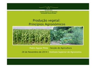 Produção vegetal: 
Princípios Agronómicos 
Pedro Aguiar Pinto | Secção de Agricultura 
28 de Novembro de 2014 | Instituto Superior de Agronomia 
 