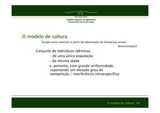 O modelo de cultura | 12 
O modelo de cultura 
(surge como conceito a partir da observação de herbáceas anuais 
determinadas) 
Conjunto de indivíduos idênticos 
- de uma única população 
- da mesma idade 
e, portanto, com grande uniformidade, 
suportando um elevado grau de 
competição / interferência intraespecífica 
 