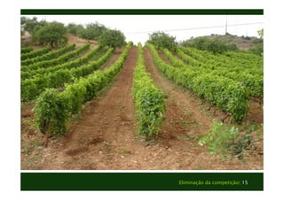 Eliminação da competição| 15 
Texto 
Texto 
 