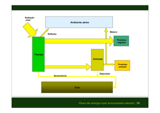 Ambiente aéreo 
Solo 
Animais 
Fluxo de energia num ecossistema natural | 16 
Senescência 
Produtos 
vegetais 
Produtos 
animais 
Plantas 
Dejecções 
Radiação 
solar 
Reflexão Metano 
 