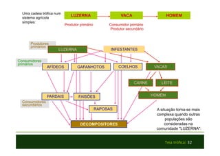 LUZERNA VACA HOMEM 
PARDAIS HOMEM 
Teia trófica| 32 
Produtores 
primários 
Consumidores 
primários 
Consumidores 
secundários 
A situação torna-se mais 
complexa quando outras 
populações são 
consideradas na 
comunidade "LUZERNA": 
LUZERNA INFESTANTES 
AFÍDEOS GAFANHOTOS COELHOS 
LEITE 
FAISÕES 
RAPOSAS 
DECOMPOSITORES 
CARNE 
VACAS 
Produtor primário Consumidor primário 
Produtor secundário 
Uma cadeia trófica num 
sistema agrícola 
simples: 
 