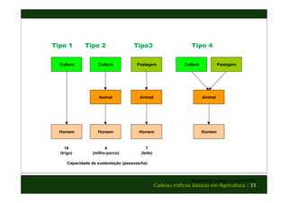 Tipo 1 Tipo 2 Tipo3 Tipo 4 
Cultura Cultura Pastagem Cultura Pastagem 
Adaptado de Loomis e Connor (1992) 
Cadeias tróficas básicas em Agricultura | 33 
Homem 
Animal Animal Animal 
Homem Homem Homem 
18 
(trigo) 
4 
(milho-porco) 
7 
(leite) 
Capacidade de sustentação (pessoas/ha) 
 