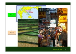 Sistema do tipo 1 | 34 
Cultura 
Homem 
 
