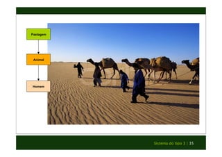 Sistema do tipo 3 | 35 
Pastagem 
Animal 
Homem 
 