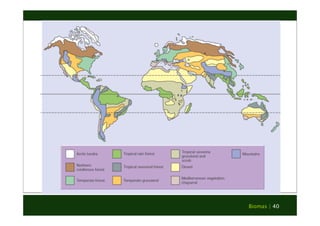 Biomas | 40 
 