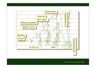 Crescimento vegetal | 50 
Balanço da radiação 
líquida e visível 
N, P, K, etc. 
Superfície 
do solo 
Perda de água 
Trocas de 
CO2 e H2O 
Temperatura do ar 
H2O 
Temperatura do solo 
 