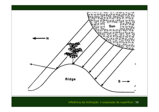 Influência da inclinação e exposição da superfície | 56 
 