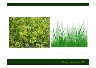 Diferentes arquitecturas | 57 
 