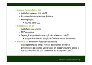 3 sistemas fotossintéticos | 58 
• Ciclo de Benson-Calvin (C3) 
– Ácido fosfo-glicérico (C3) + CO2 
– Ribulose-bifosfato carboxilase (Rubisco) 
– Fotorespiração: 
• luz, O2, baixo CO2 
• Fotossíntese em C4 
– Ácido fosfo-enol-pirúvico 
– PEP carboxilase 
– Separação espacial entre a redução de carbono e o ciclo C3 
• adaptação anatómica (fixação de CO2 nas células do mesófilo) 
• Plantas CAM (Metabolismo Ácido das Crassuláceas) 
– Separação temporal entre a redução de carbono e o ciclo C3 
– Em condições de secura o CO2 é fixado em ácidos C4 durante a noite e 
libertado durante o dia, com os estomas fechados para o ciclo C3. 
 