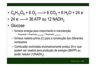 • C6H12O6 + 6 O2 -----> 6 CO2 + 6 H2O + 24 e- 
• 24 e- -----> 36 ATP ou 12 NADH2 
• Glucose 
– fornece energia para crescimento e manutenção 
• Respiração = Respiração manutenção + Respiração crescimento 
– fornece matéria prima (C) para a construção dos diferentes 
compostos 
– Combustão controlada enzimaticamente produz 24 e- que 
podem ser usados para produção de energia (36ATP) ou 
poder redutor (12NADH2) 
Respiração | 60 
 